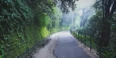 Darjeeling TripSee