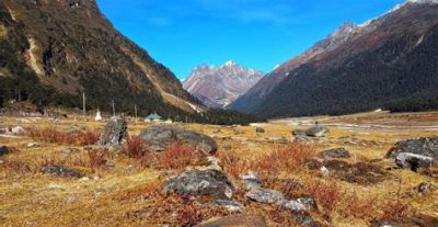 Yumthang Valley, TripSee